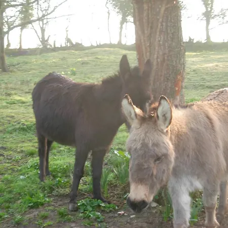 Les Chambres D'ebalet Saint-Blimont